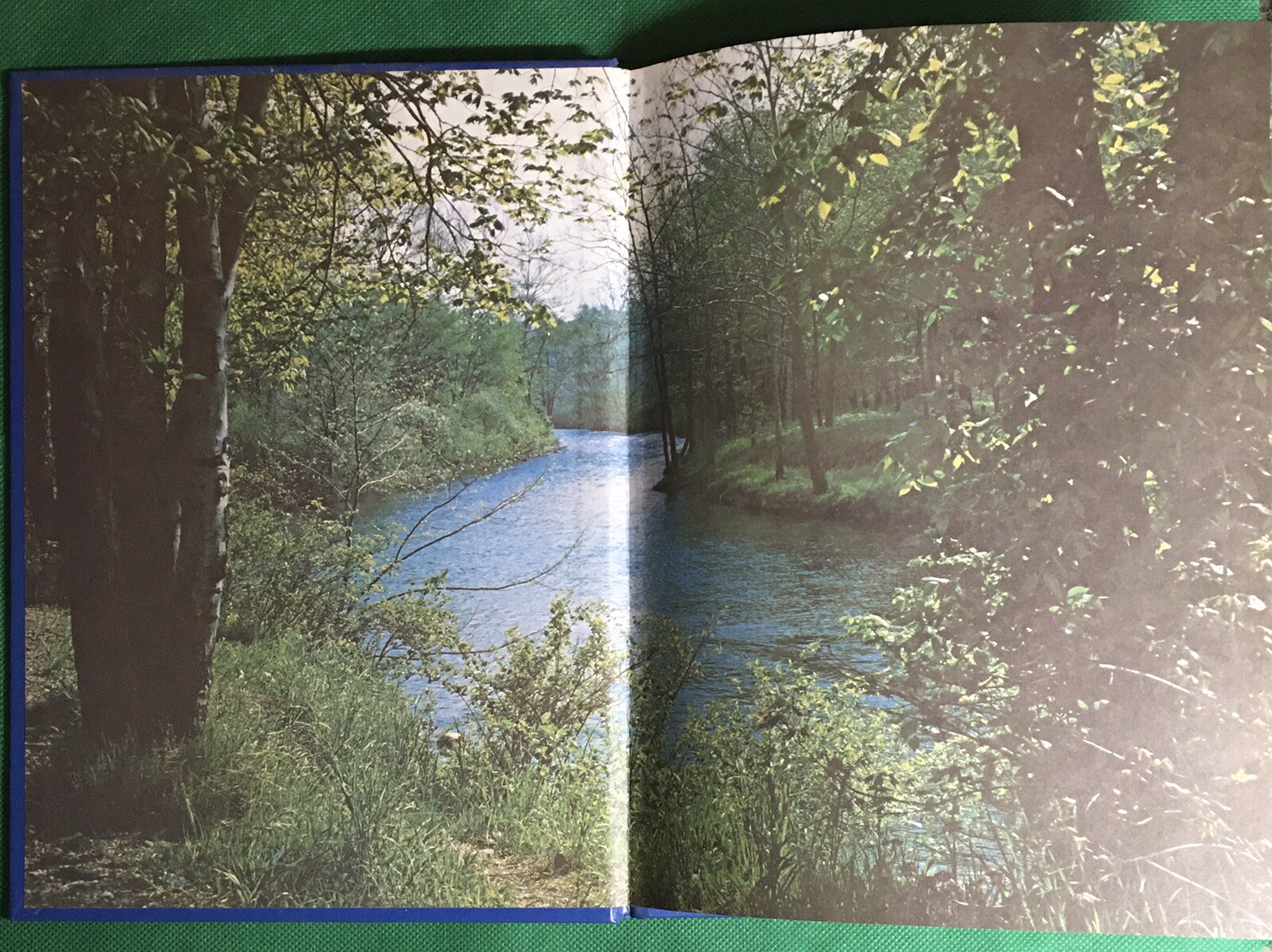 Picture 2 of 7