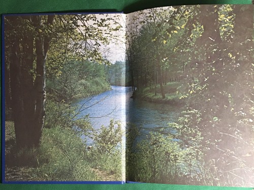 Twinfield Union High School 1974 Yearbook “The Twinfielder” Plainfield Vermont - Picture 2 of 7