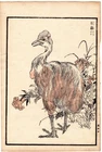 1884 Antique Meiji Kono Bairei Woodblock Print: Ostrich or Cassowary, birds