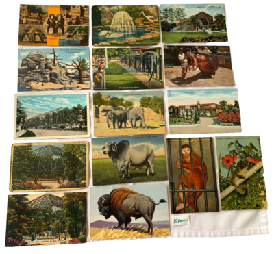 Animal Postcards Lot 15 Mixed Zoos Posted Unposted Monkey Bison Elephant Vintage