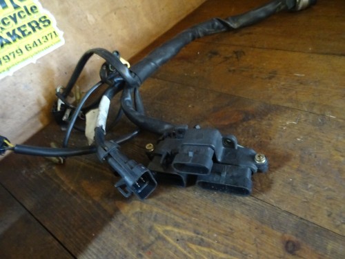 Ducati Monster 600 Rear Wiring Loom Harness - Picture 3 of 3