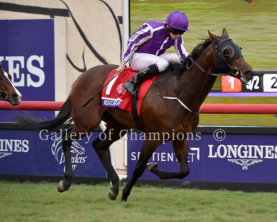 Mendelssohn 2017 Breeders' Cup Juvenile Turf Photo 8'' x 10 - 24'' x 30'' 