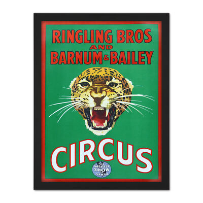 Ringling Bros Barnum Bailey Circus Jaguar Framed Wall Art Print 18X24 In