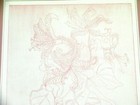 Picture 2 of 8