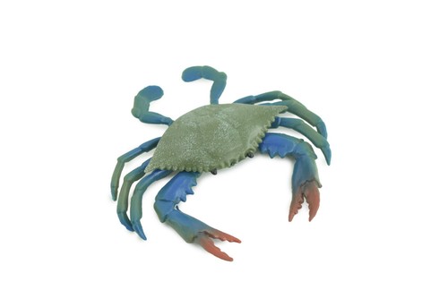 Blaue Krabbe, handbemalte realistische Gummikrabbe, Spielzeug, 3,5 Zoll CH851 BB198 - Bild 1 von 8