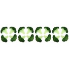 4 Pack Gemüse Spielzeug Gefälschte Gemüsemodelle Künstliches Gemüsedekor