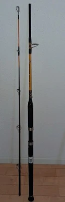 WFT Never Crack Heavy Spin Rute . 100-400g bei einer Länge von 2,10 - Bild 1 von 2