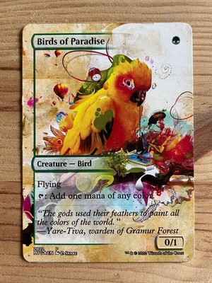 Birds of Paradise - PROXY
