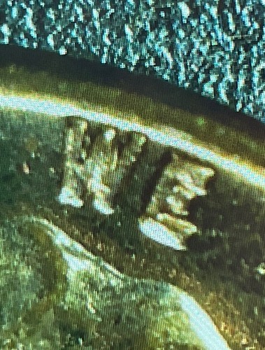 1962 D Lincoln Memorial Cent With An RPM And Doubled Die Obverse - Picture 4 of 8