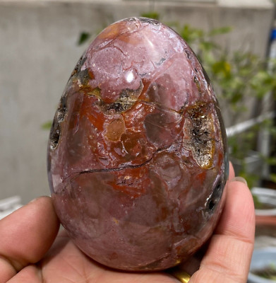 584g Beautiful Large Petrified Wood Fossil Egg Crystal Home Decor Specimen