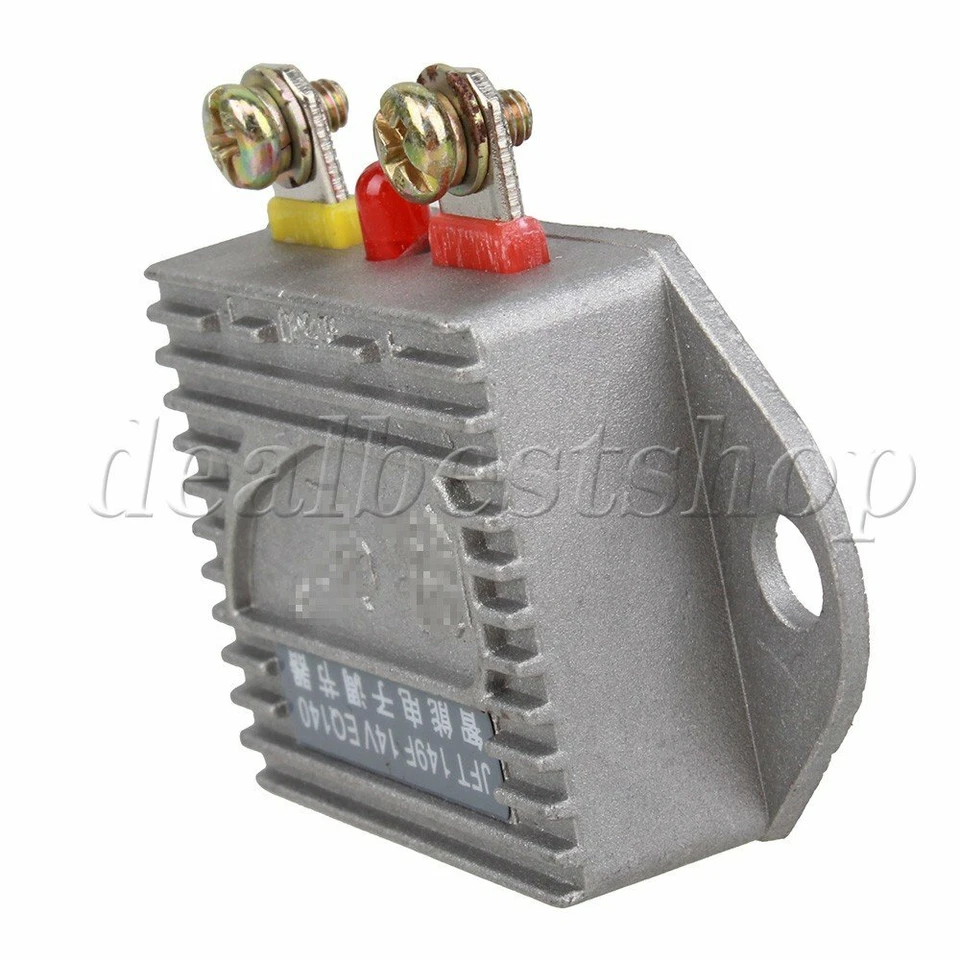 Electronic Generator with Light Support Automobile Universal Regulator 14V 1000W Foto 3 de 4