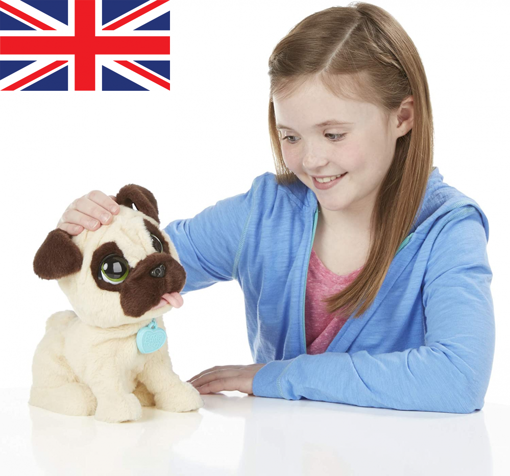 pointer hill rabbit supplies