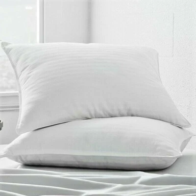 KAYCIE GRAY 2-Pack 100% Cotton Bed Pillow with Breathable Down-Alternative Fill-Hotel Style