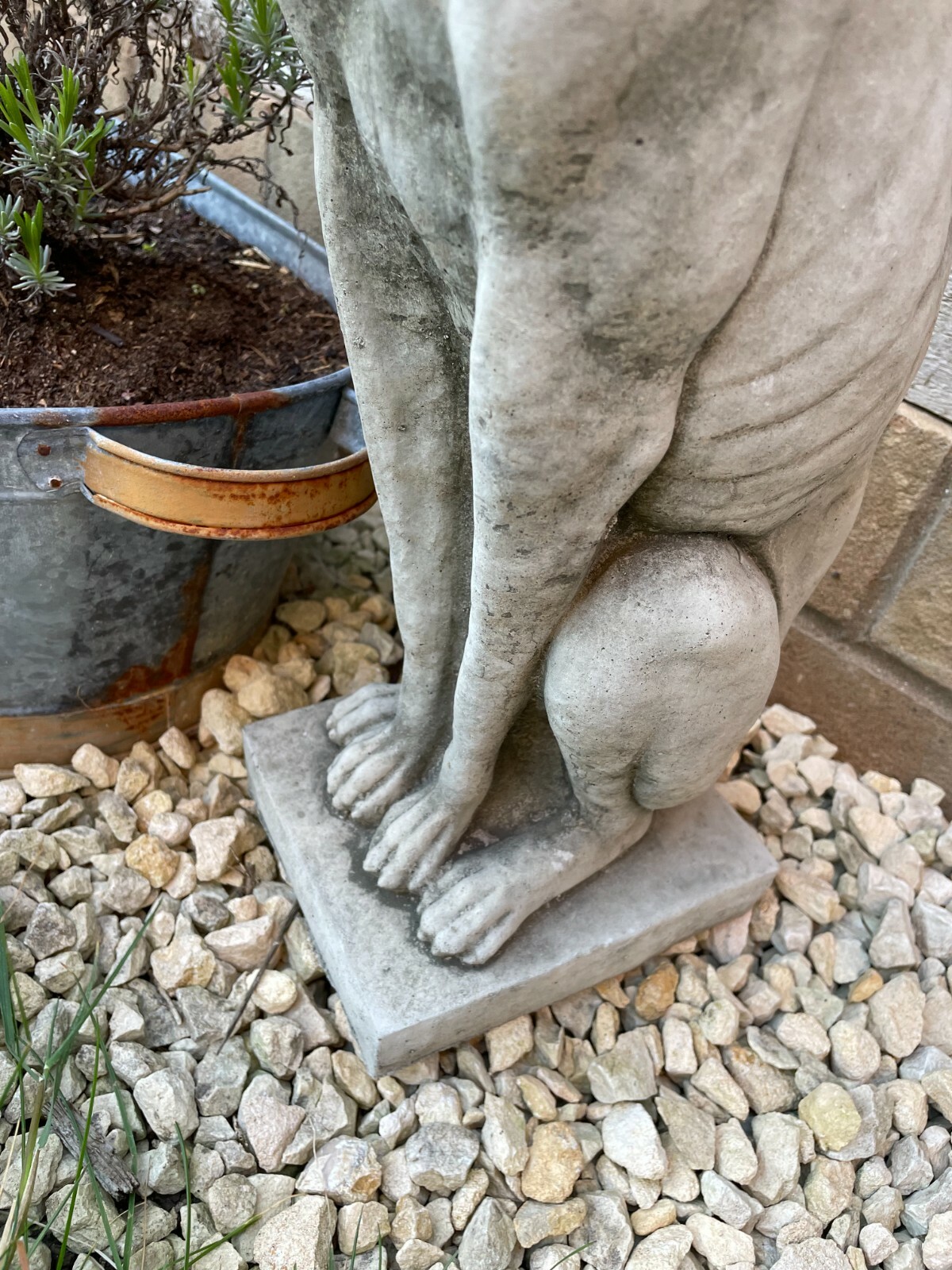 Upright Whippet Stone Statue Greyhound Lurcher Animal Garden Outdoor