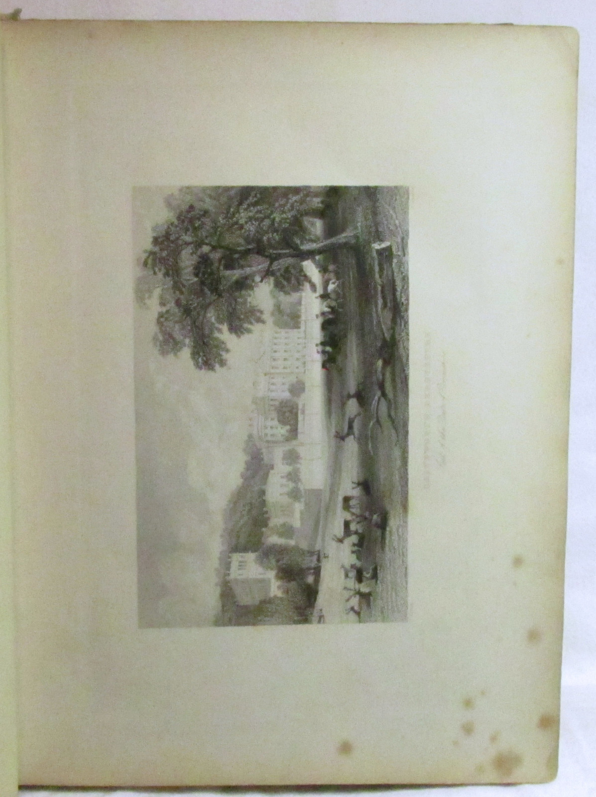 Picture 4 of 12