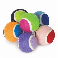 Zanies Tennis Minis Dog Balls   6-Pack Small Dog Toys by Pet Edge
