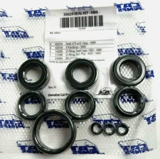 30629 SEAL KIT FOR CAT PUMPS 45, 45G1 PRESSURE WASHER PUMP OEM