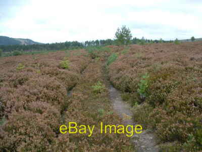 Photo 6x4 Open ground in the Moss of Delnahaugh. Dallas The track is over c2008