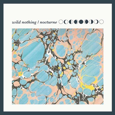 Wild Nothing Nocturne (Vinyl)
