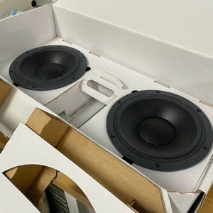 dynaudio mw 172
