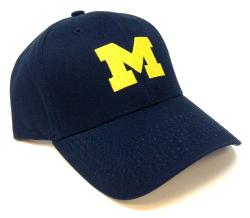 BLUE UNIVERSITY OF MICHIGAN WOLVERINES 