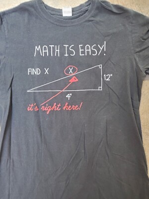 Gilden Mens Medium Black Math Is Easy Short Sleeve Tshirt