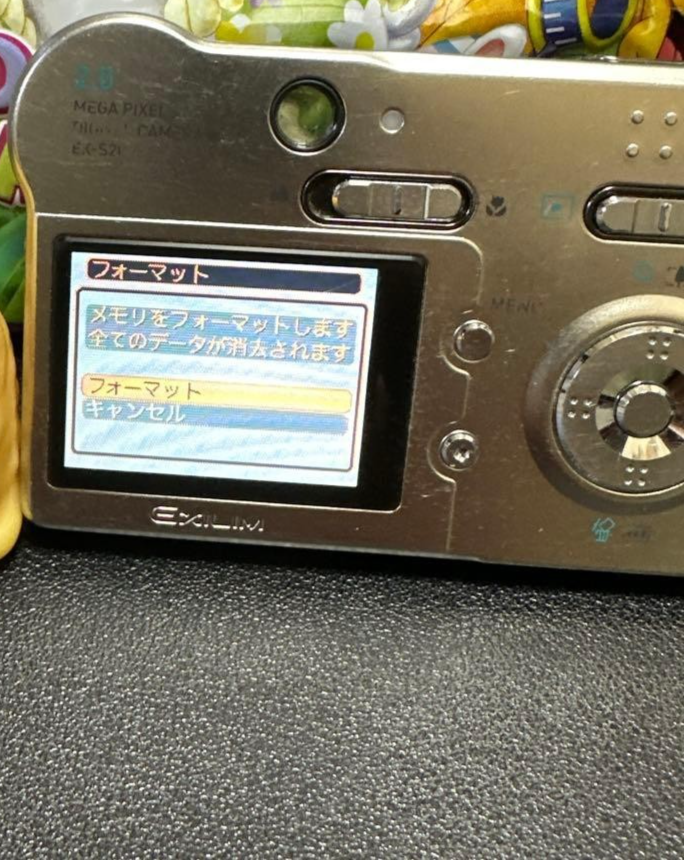 CASIO EXILIM EX-S20 Silver Compact Digital Camera From JAPAN | eBay
