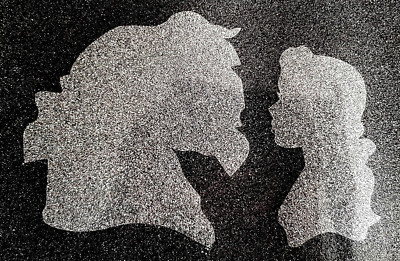 BEAUTY & THE BEAST #2 GLITZER BÜGELBILD HOTFIX T SHIRT TRANSFER