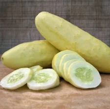 Silver Slicer Cucumber Seeds for Planting - Marketmore Cucumbers (50 Seeds)