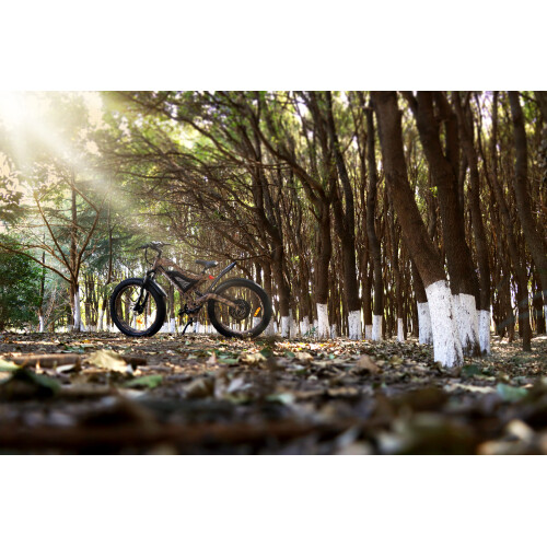 AOSTIRMOTOR S181500W,1500W Electric Bike Fat Tire 48V 15AH Removable