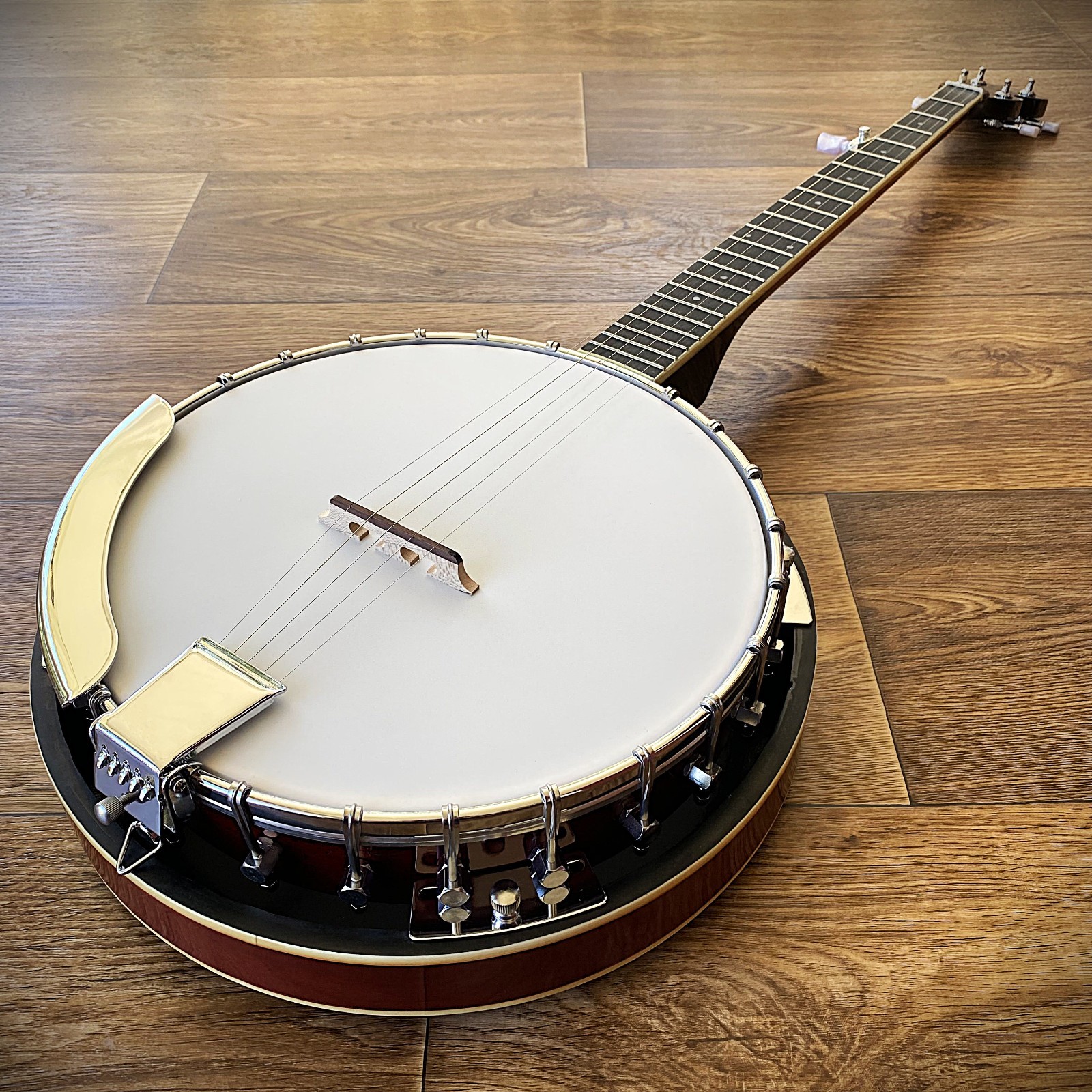 5-String Banjo - Full-Size with Sapele Closed Back & Preset Bridge, 24 Brackets