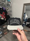 Atlanta Falcons Fitted Hat 7 3/8 American Needle Vintage NFL Cap — photo 1