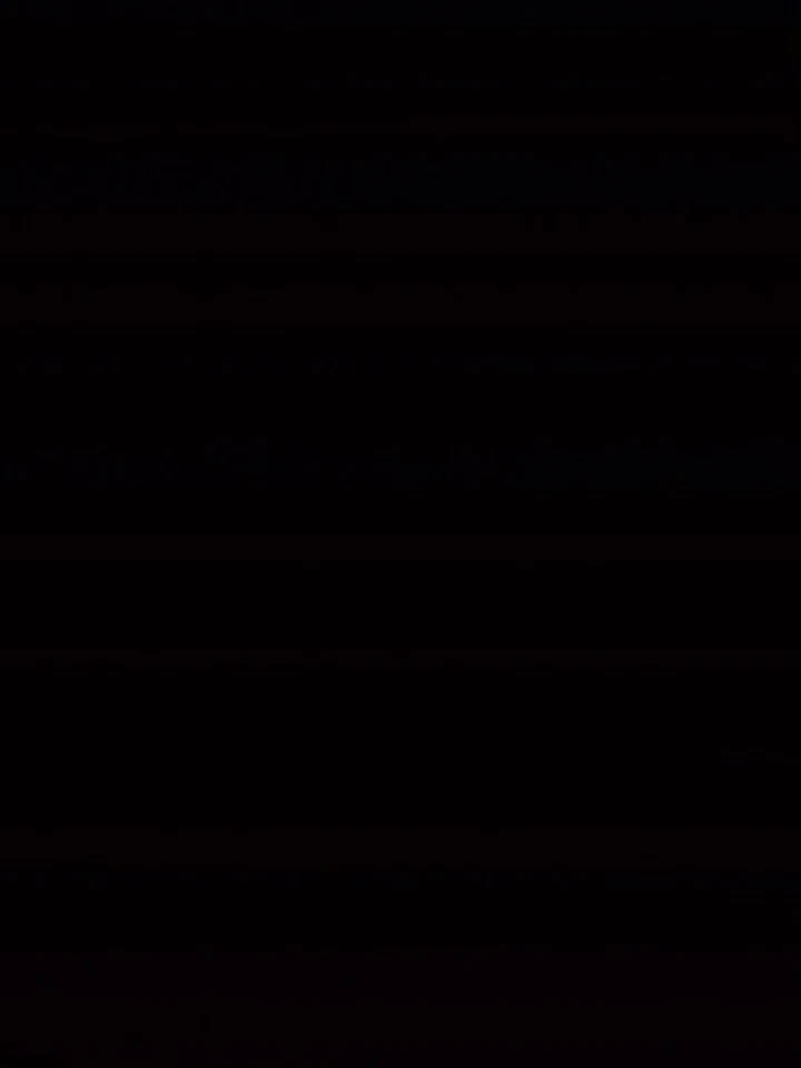 ABRIGO DE CUERO PHAT BOI VINTAGE XL Foto 4 de 4