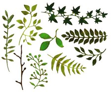 Sizzix Thinlits Garden Greens 661206 9pc Retail 28.99 designer Tim Holtz NIP