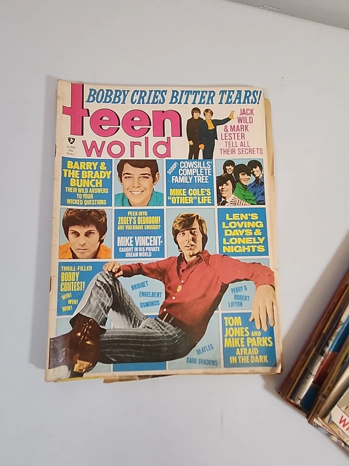 Vintage Lot Of 14 Tiger Beat & Teen World Magazines - Image 2 of 4