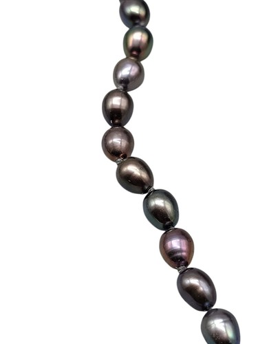 14k H Peacock Tahitian Pearl Choker Necklace Hand Knotted White Gold Clasp 16" - 第 9/11 張圖片