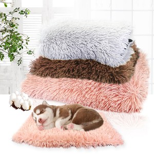 fluffy dog blanket