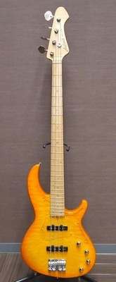 Aria Pro2 E-Bass RSB-1500M gebraucht