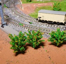 50 Dark Green Bushes, Shrubs, Yellow Blooming, 40 mm High