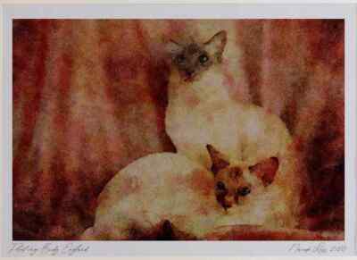 458008 Balinese Blue Tabby Point And Seal Tortie Point Ltd Ed A3 Aquarell