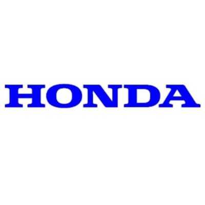 HONDA PIONEER 1000-3 1000-6 TAILGATE GRAPHICS BLUE MATTE
