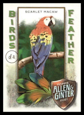 2021 Allen & Ginter  SCARLET MACAW - BIRDS of a FEATHER - #BOF-3
