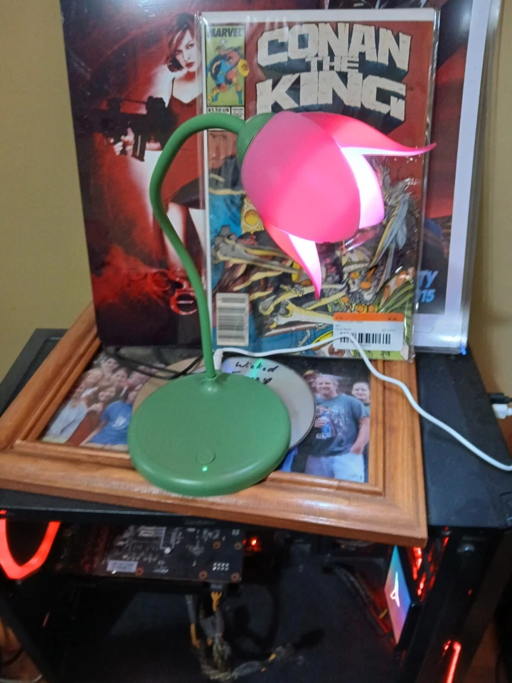 Lámpara de escritorio LED de mesa de flores verde y rosa cable alimentado USB incluido encendido/apagado empuje Foto 2 de 4