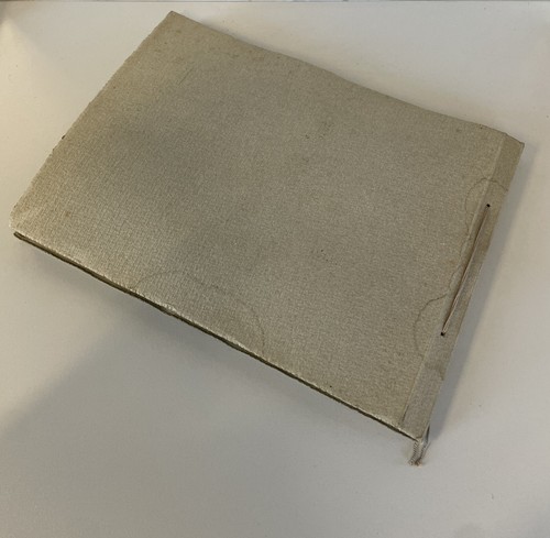 ANTIKES FOTOALBUM BERG Ossola Formazza Vigezzo CASCATA del TOCE '900 - Bild 3 von 11