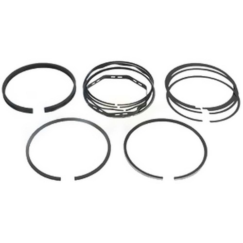 S.40417 Ring Set, Cord Ring, Per Cylinder Fits Landini