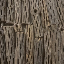 10 Lbs ( Approx. 170 Pieces ) 6” Precleaned Cholla Wood Pieces | Aquarium