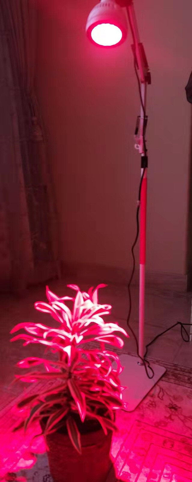 Picture 7 of 10