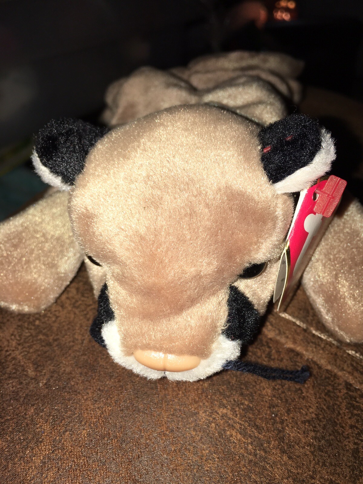 ty beanie baby canyon 1998 rare eBay