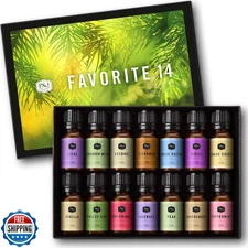 PandJ Trading Fragrance Oil Favorite Set | Candle Scents for Candle Making, F