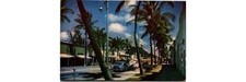 Hannau NCP 405 Miami Beach FL Postcard 1950s Lincoln Rd Palm Scene Palm Trees